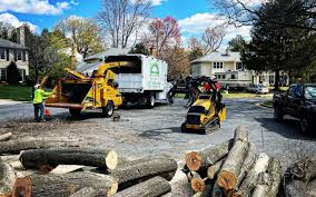 Best Tree Risk Assessment  in Grandview Heights, OH